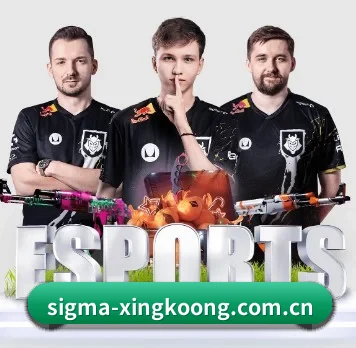 走向世界 - 全球化战略取得重大进展,千万用户共同见证sigma-xingkoong.com.cn成长。